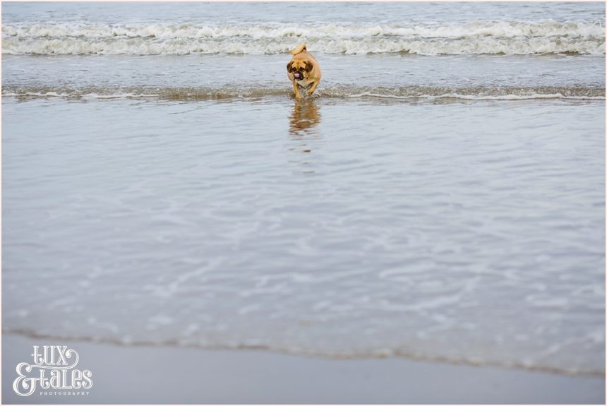 Dog at engagement shoot in Filey beach. 