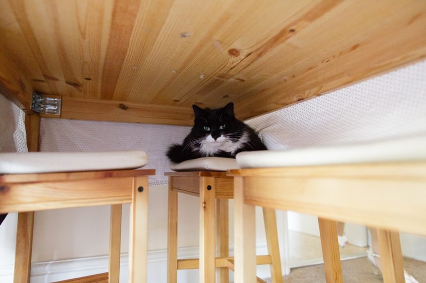 East Riddlesden Hall Wedding Photography